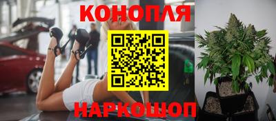 стаф Аргун