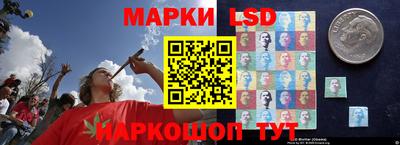 стаф Аргун