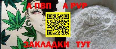 стаф Аргун