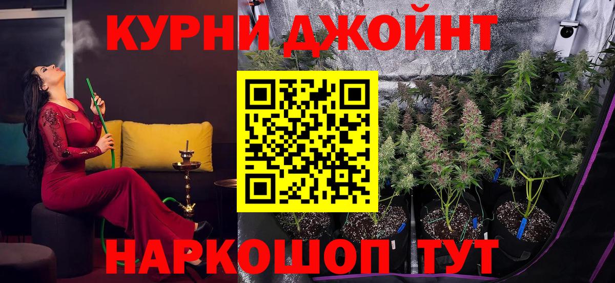 Конопля план  Конопля сатива  Конопля ГИДРОПОН  Вход с VPN  Воскресенск 